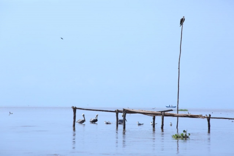 Consulta aquí el borrador de la minuta del contrato de la APP del río Magdalena